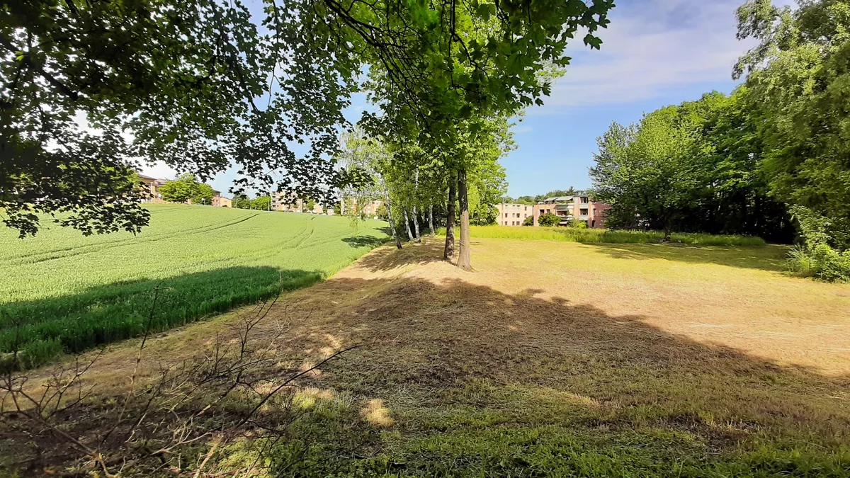 Wiese, Acker und ein Wäldchen innerhalb eines Wohnquartiers.